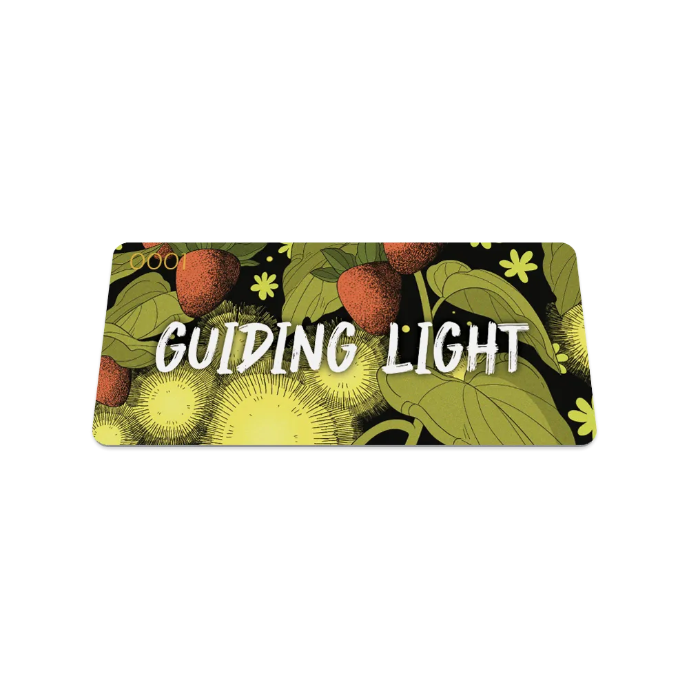 Guiding Light